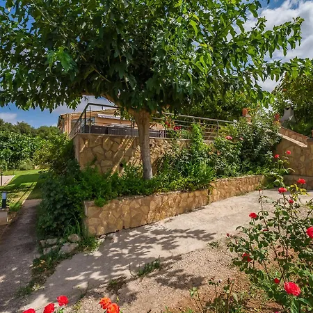 Gospodarstwo wiejskie Ideal Mallorca - Sementaret
